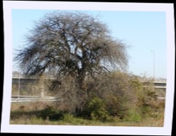 pa292556.jpg