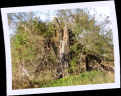 pa292563.jpg