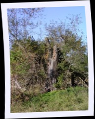 pa292564.jpg