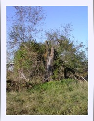 pa292565.jpg