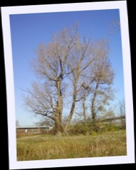 pa292567.jpg