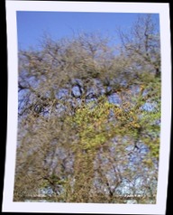pa292584.jpg