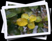Album: 20050212_Winter