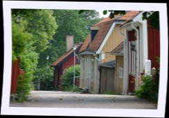 img_8587.jpg