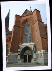 img_8650.jpg