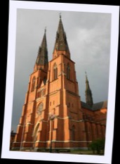 img_8666.jpg