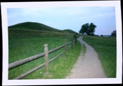 img_8713.jpg
