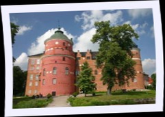 img_8787.jpg