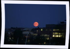 img_8979.jpg