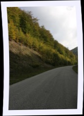 img_1043.jpg
