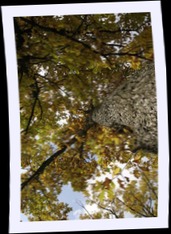 img_1108.jpg