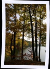 img_1122.jpg
