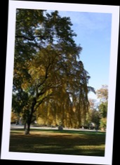 img_1302.jpg