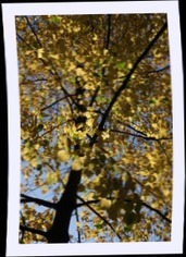 img_1307.jpg