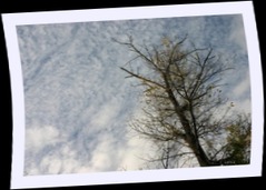 img_1342.jpg