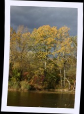 img_1346.jpg