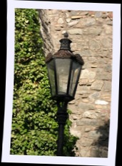 img_8262.jpg