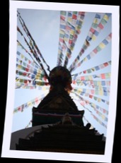 img_6872.jpg