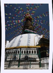img_6879.jpg