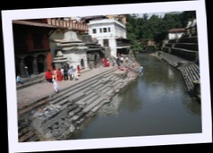 img_7282.jpg